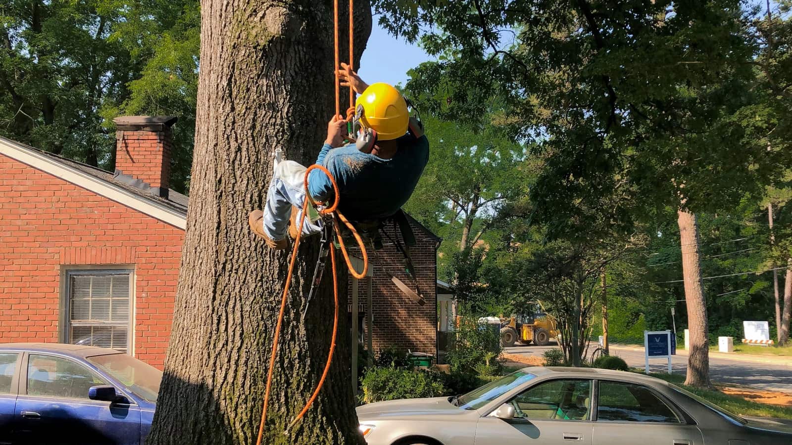 Francisco Coyotl, founder of Bruno Tree Service LLC