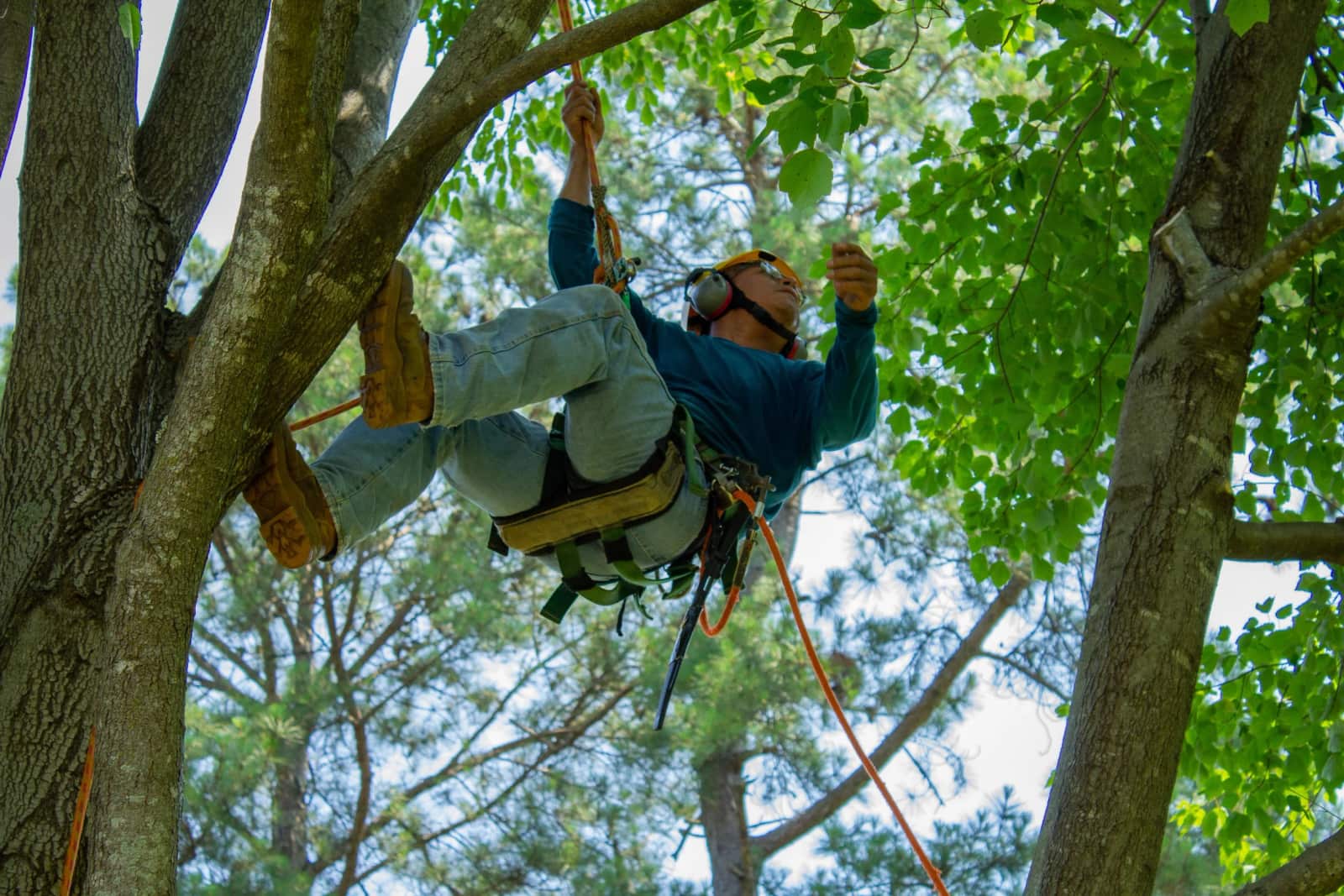 Bruno Tree Service team portrait